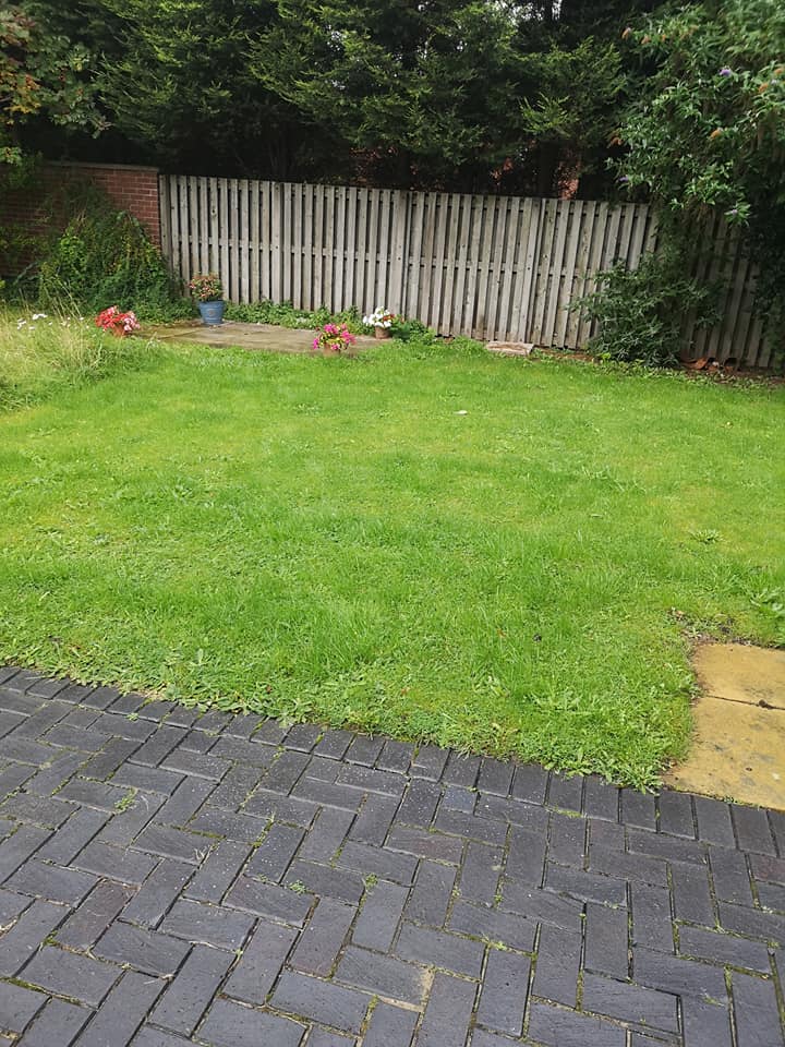 image of garden area, mainly grass, with a small paved area surrounded by potted plants. The garden is bordered by a wall and a fence