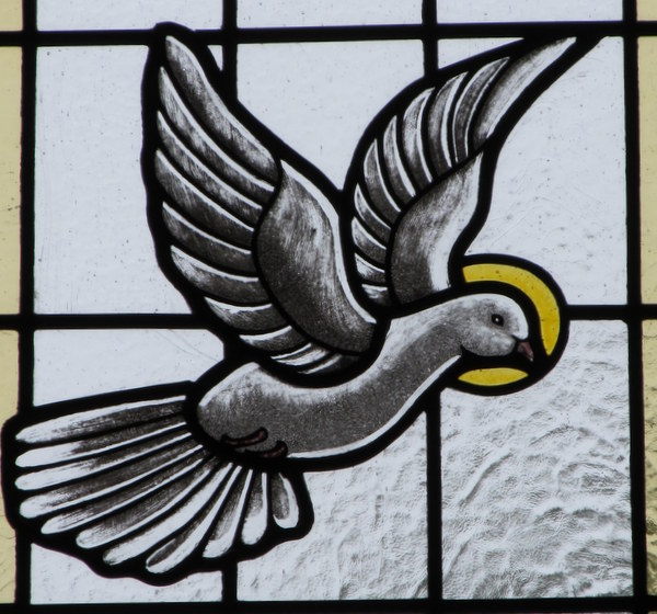 image of dove stained glass window