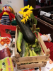 Socially Yours Allotment produce!